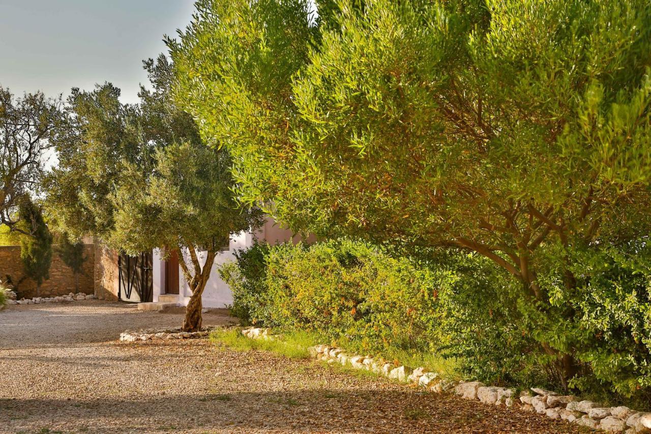 אסאוירה Maison Kasba Bonheur & Bien Etre Emma & Gilles מראה חיצוני תמונה