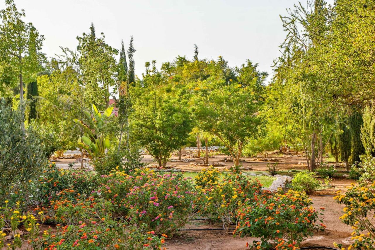 אסאוירה Maison Kasba Bonheur & Bien Etre Emma & Gilles מראה חיצוני תמונה