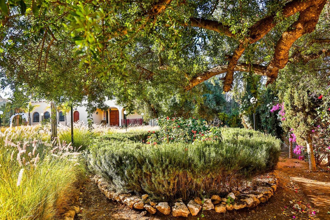 אסאוירה Maison Kasba Bonheur & Bien Etre Emma & Gilles מראה חיצוני תמונה