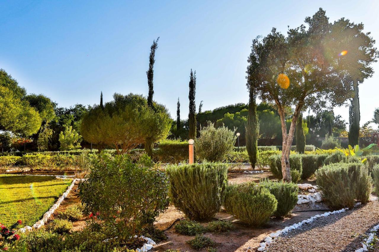 אסאוירה Maison Kasba Bonheur & Bien Etre Emma & Gilles מראה חיצוני תמונה